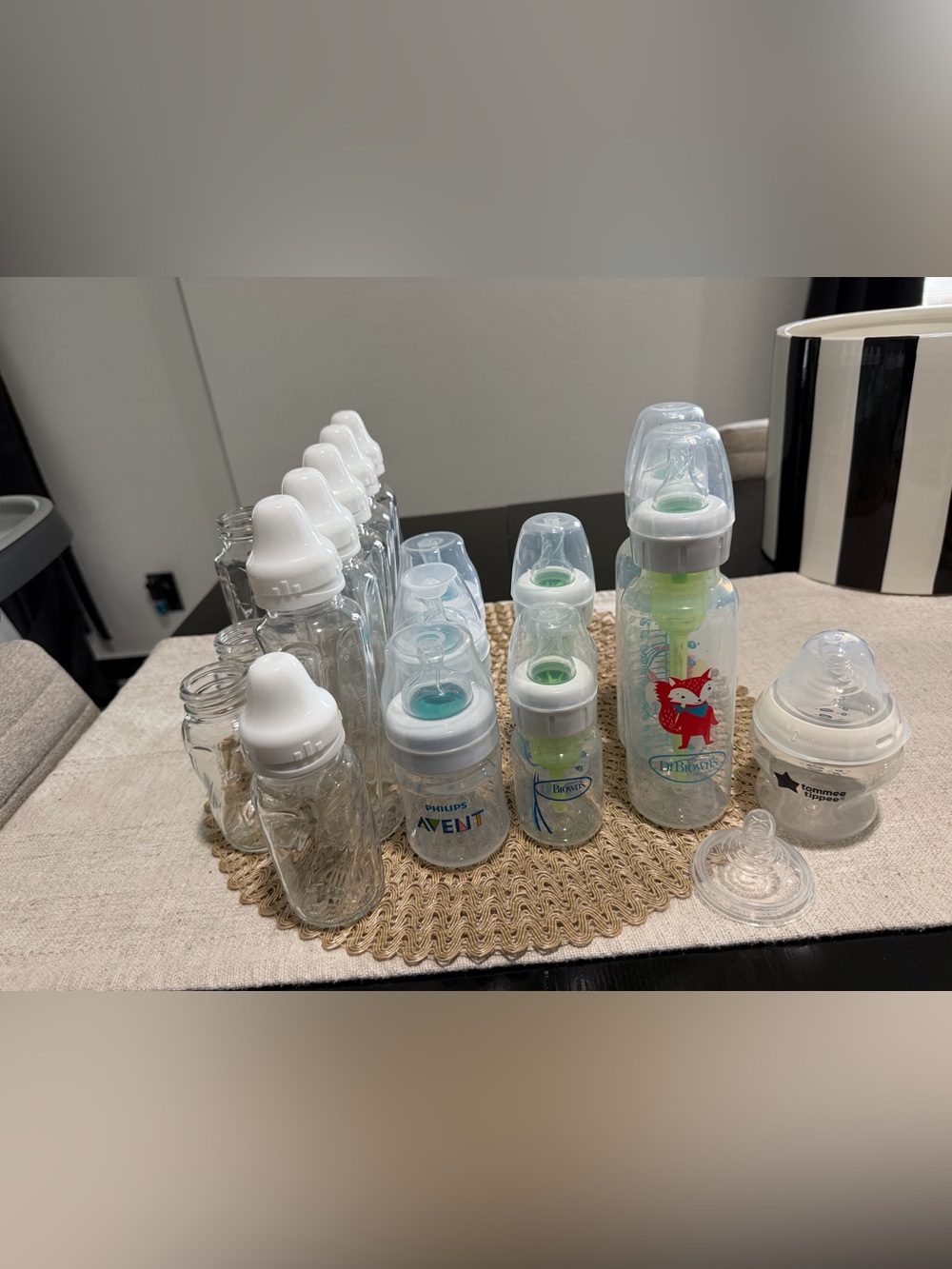 Philips Avent & Dr. Brown's & Evenflo Glass Clear Baby Bottle Set - White & Cle